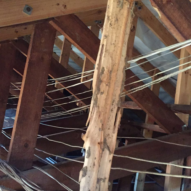 Traitement des bois de charpente à Noisy-le-Grand (93160) en Seine-Saint-Denis (93)